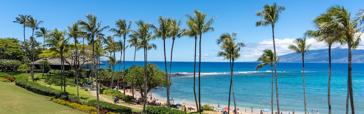 Coconut Grove on Kapalua Bay